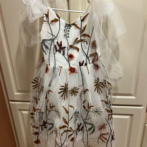 Floral Embroidered Dress with Sheer Sleeves